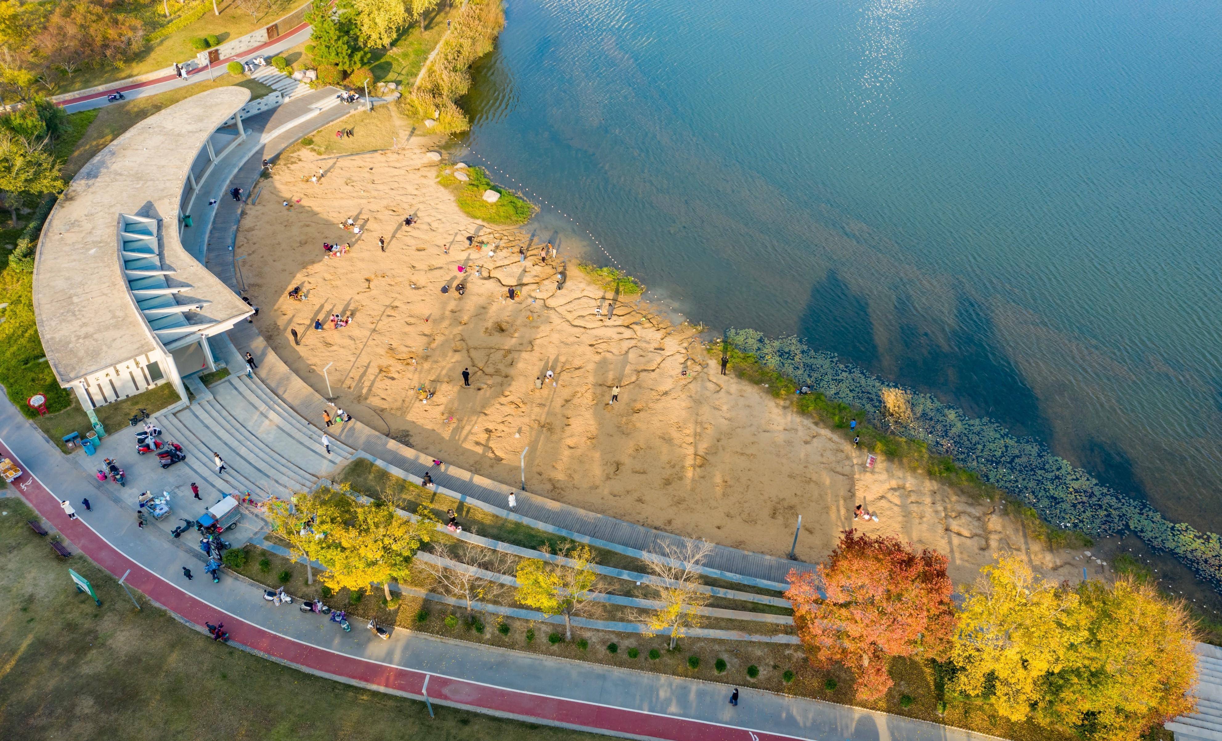 郑州初冬这片湖滨湿地美景,生态秀美,迎接市民游玩