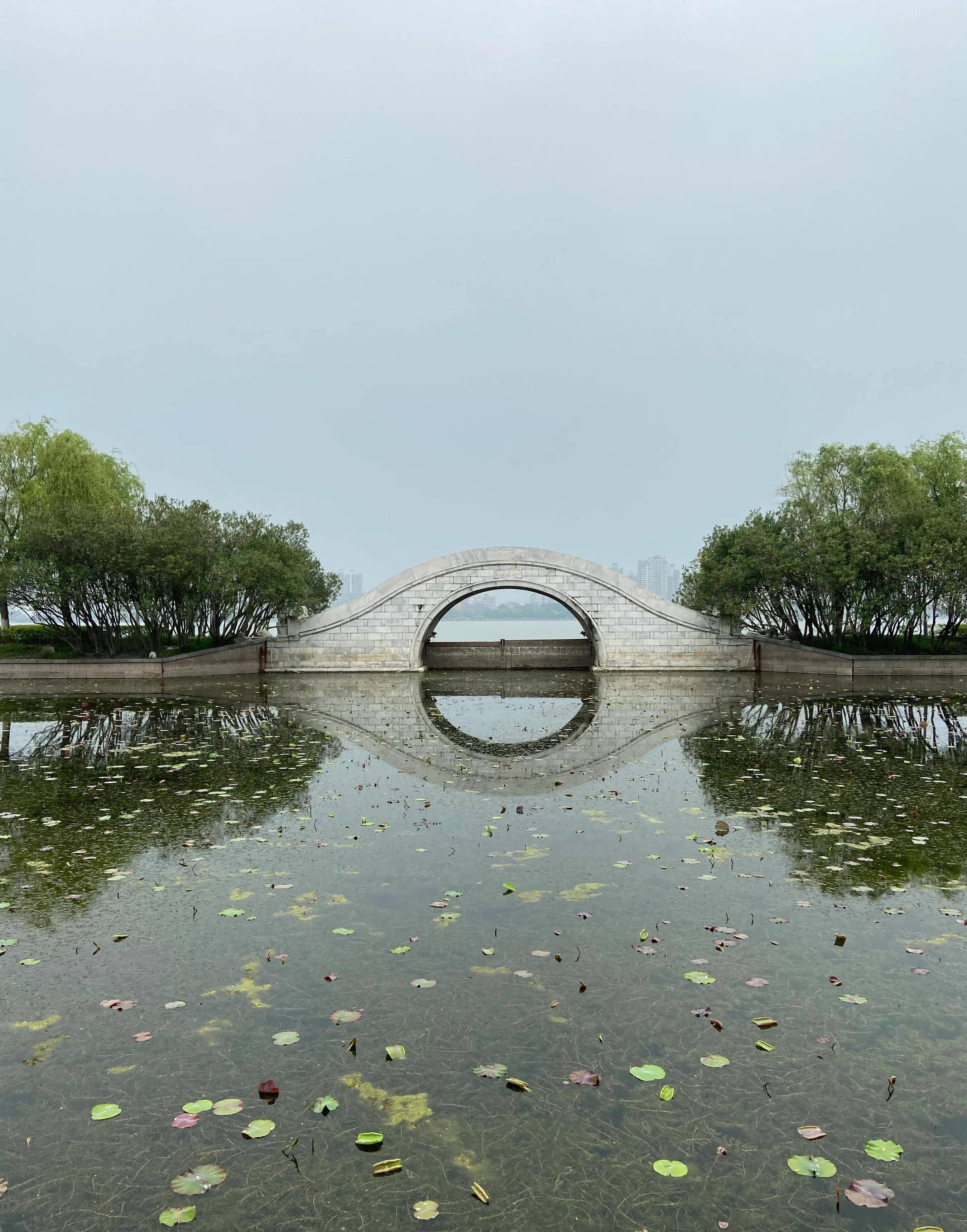 团氿湿地公园图片