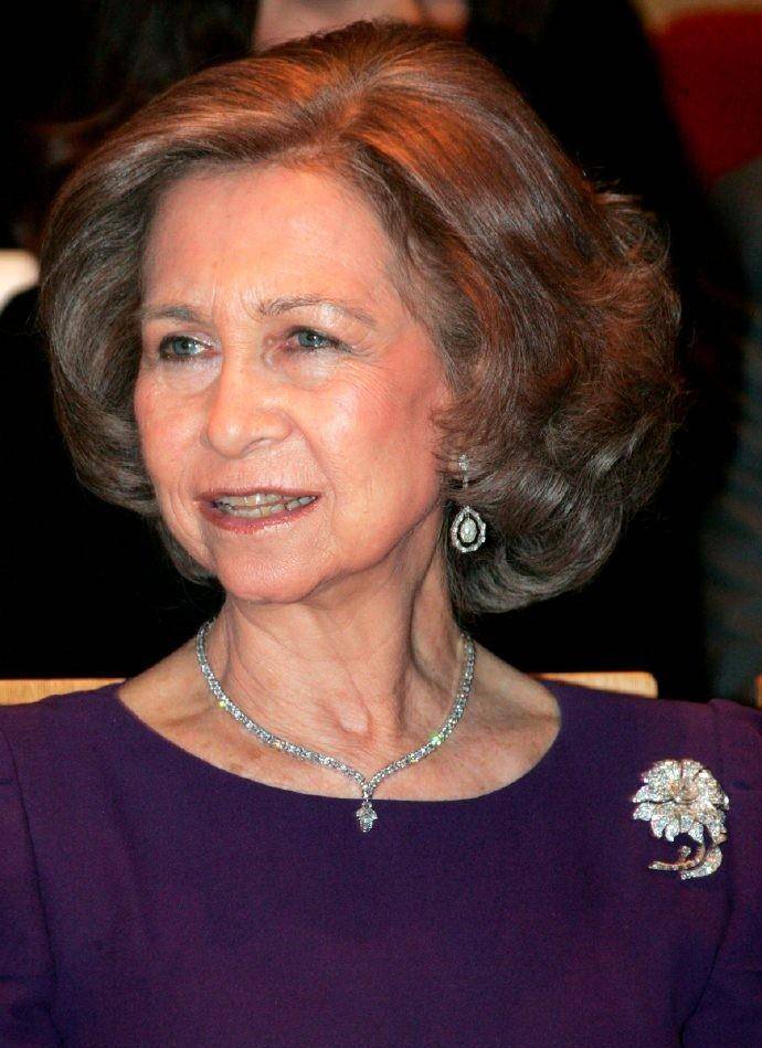 年薪只三百万,幸亏婆婆带来大量陪嫁_索菲亚_西班牙_王冠和