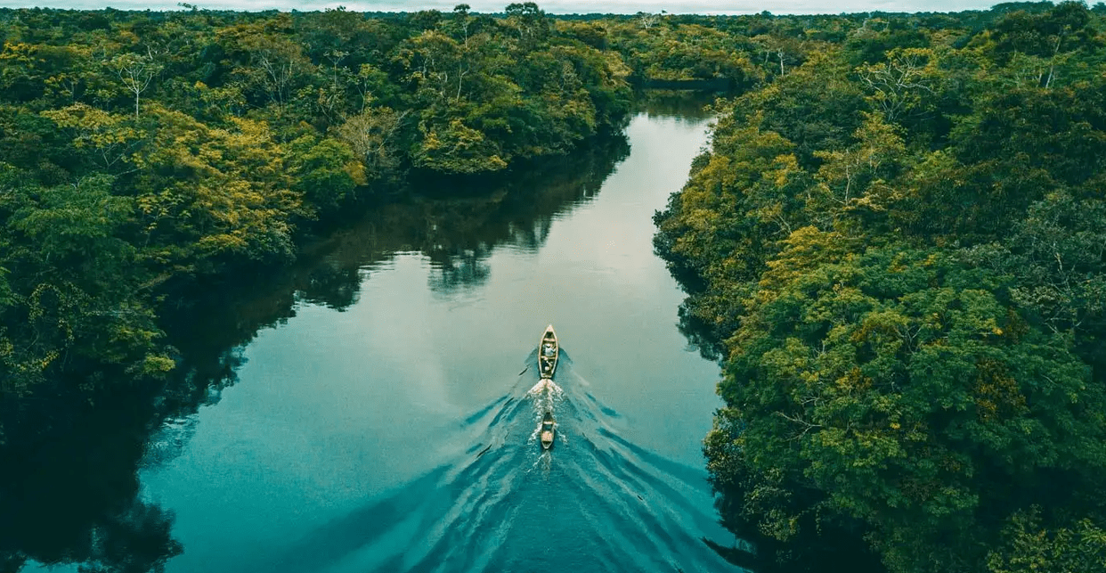 亚马逊河有多可怕,为何没有一座桥梁敢跨越它?还无人敢下水?