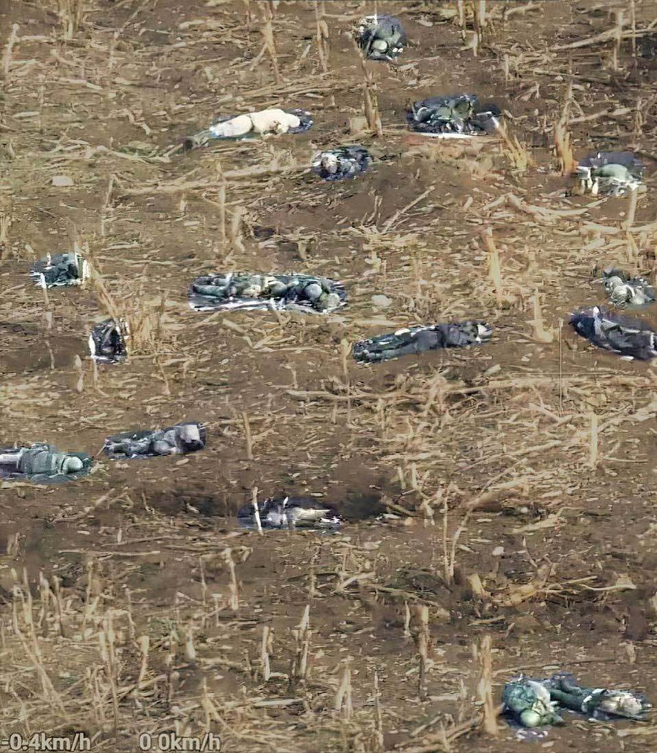 战场上尸横遍野另外,由于看惯了美军在伊拉克,阿富汗打的治安战,让