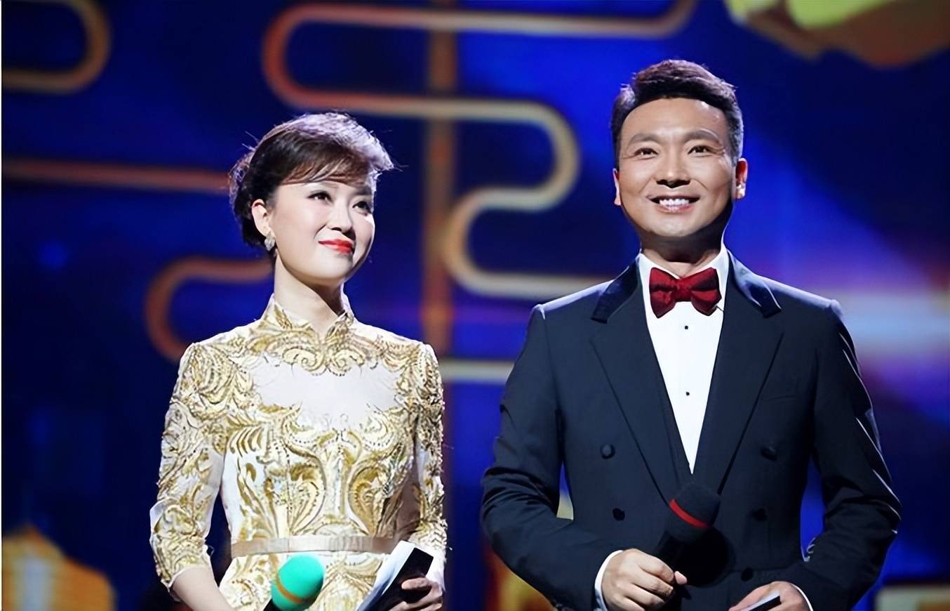 康辉的妻子刘雅洁:丈夫成名背后有泪有痛,如今无儿无女也幸福_工作