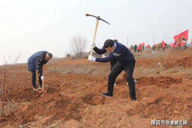 义马市工业信息化和科技局：义务植树用心用情鞭策绿色开展