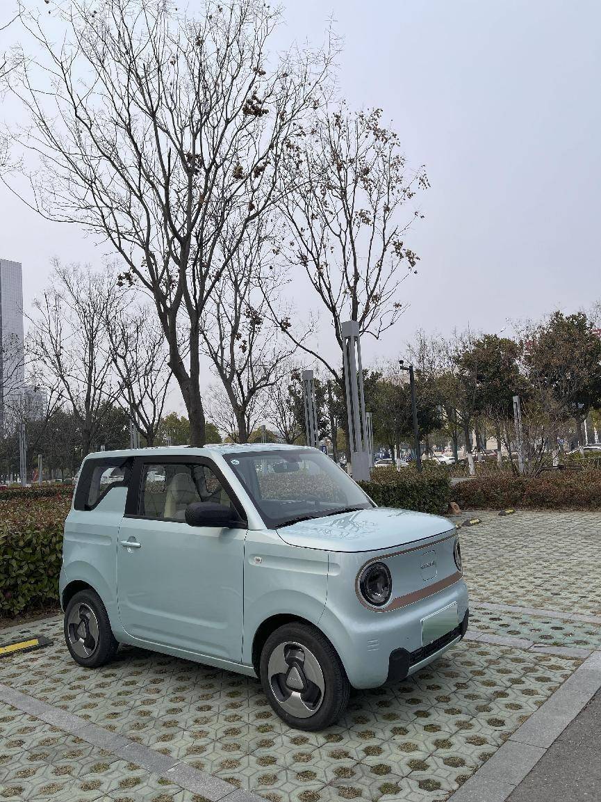 更好開更安全更智能,吉利熊貓mini對比五菱宏光mini ev_搜狐汽車_搜狐