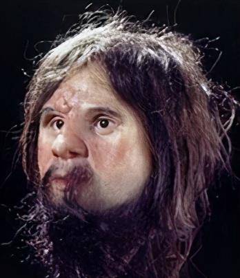 羯人相貌大致复原图:根据现俄罗斯境内古墓中出土的古月氏武士头颅