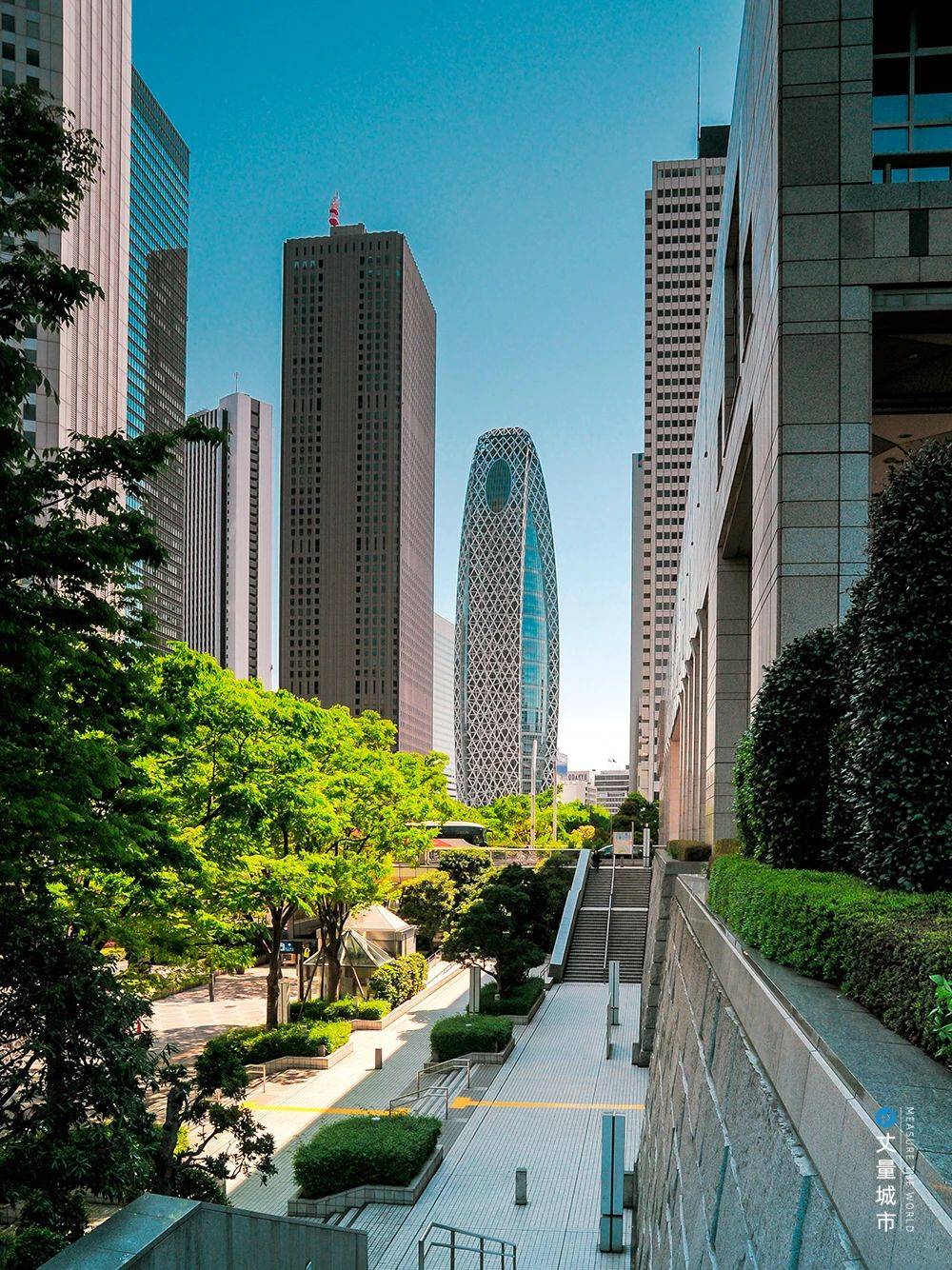 国际消费中心城市之东京·新宿篇_车站_表演_路口