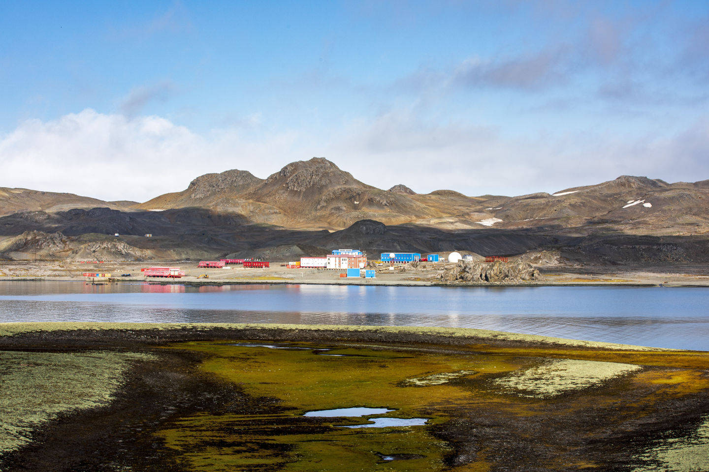 恩群岛 orne island,南极帕尔默站 palmer station,南极南奥克尼群岛