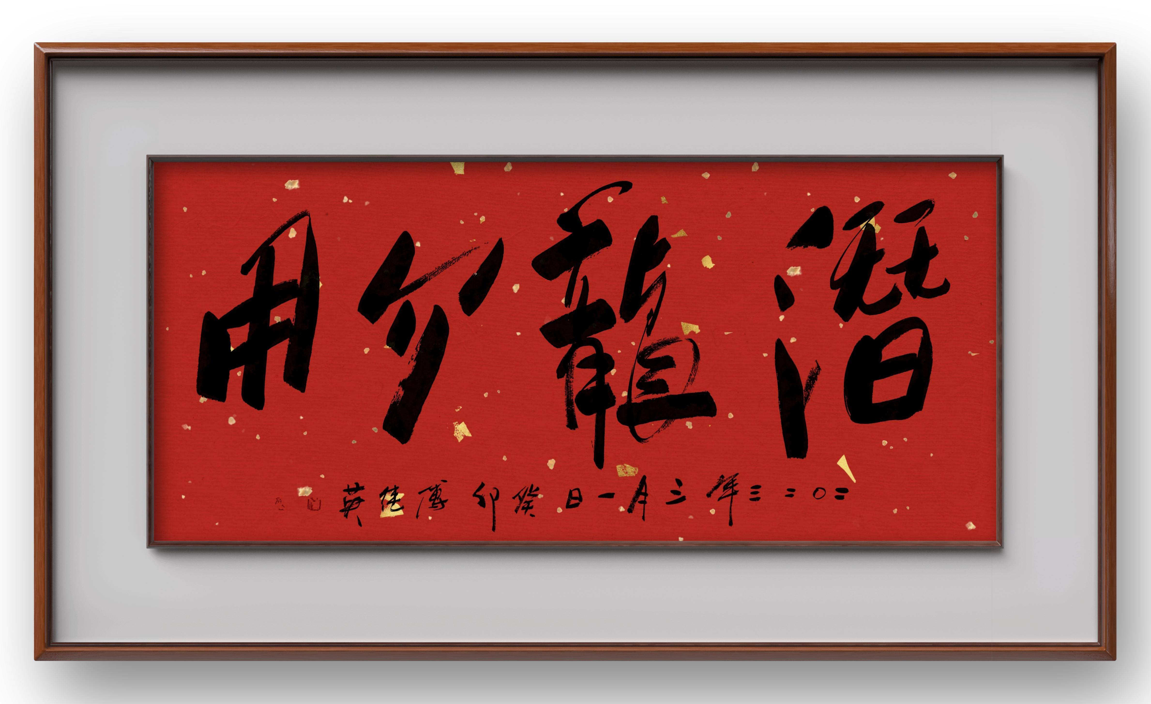 傅继英秒懂成语书法：潜龙勿用_搜狐网