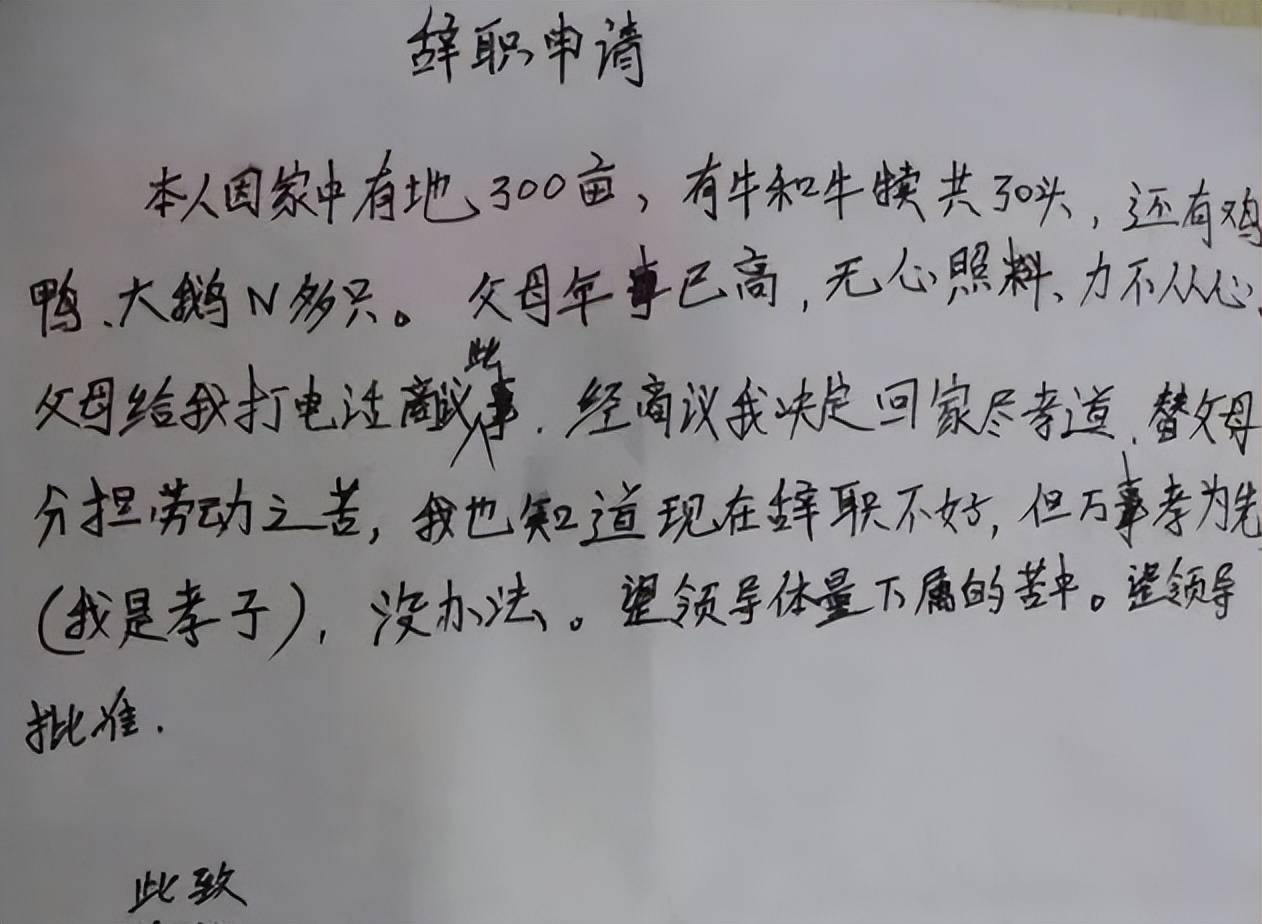 00后"辞职信"火了,理由五花八门语言简单直接,不给自己留余地_笔者