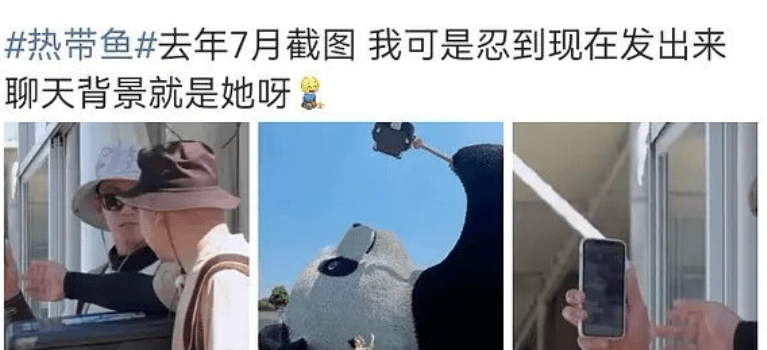 学会了吗（恶搞假怀孕）假怀孕视频假肚子 第8张