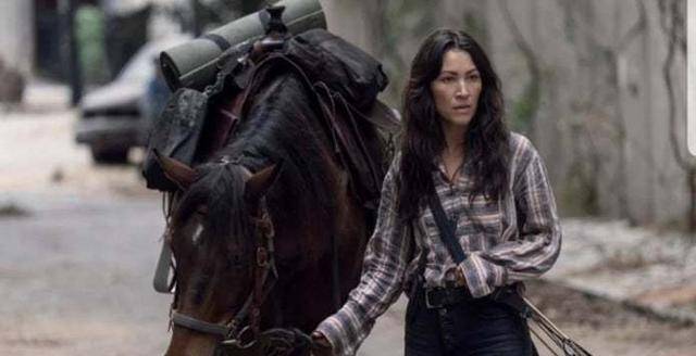 尼根将影响战争的胜败_麦格纳_都会_阿尔法