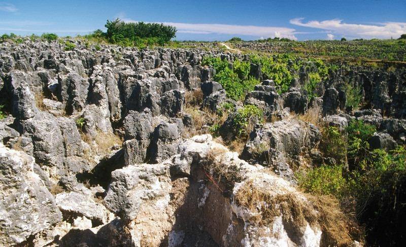 瑙鲁靠"鸟粪"暴富,全民跑车成标配,结果矿挖完了全国傻眼了_磷酸盐_多