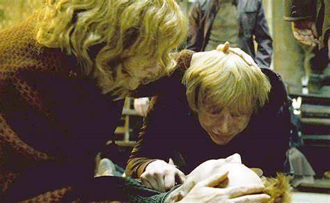 斯内普_弗雷德·韦斯莱_多比