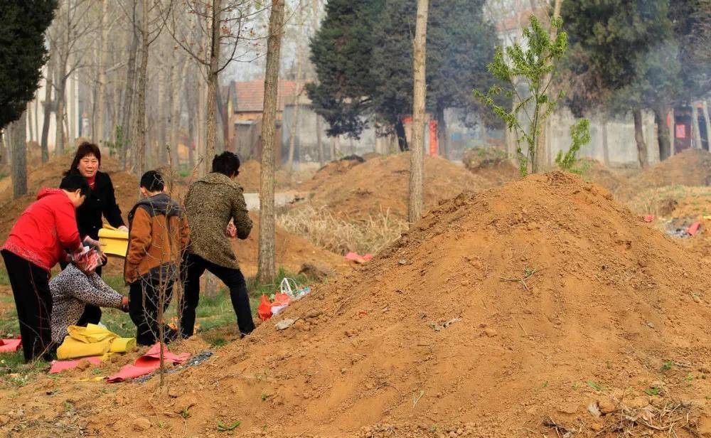 俗话说:"坟头有草子孙稀少,坟头塌陷家财万贯",有道理吗?