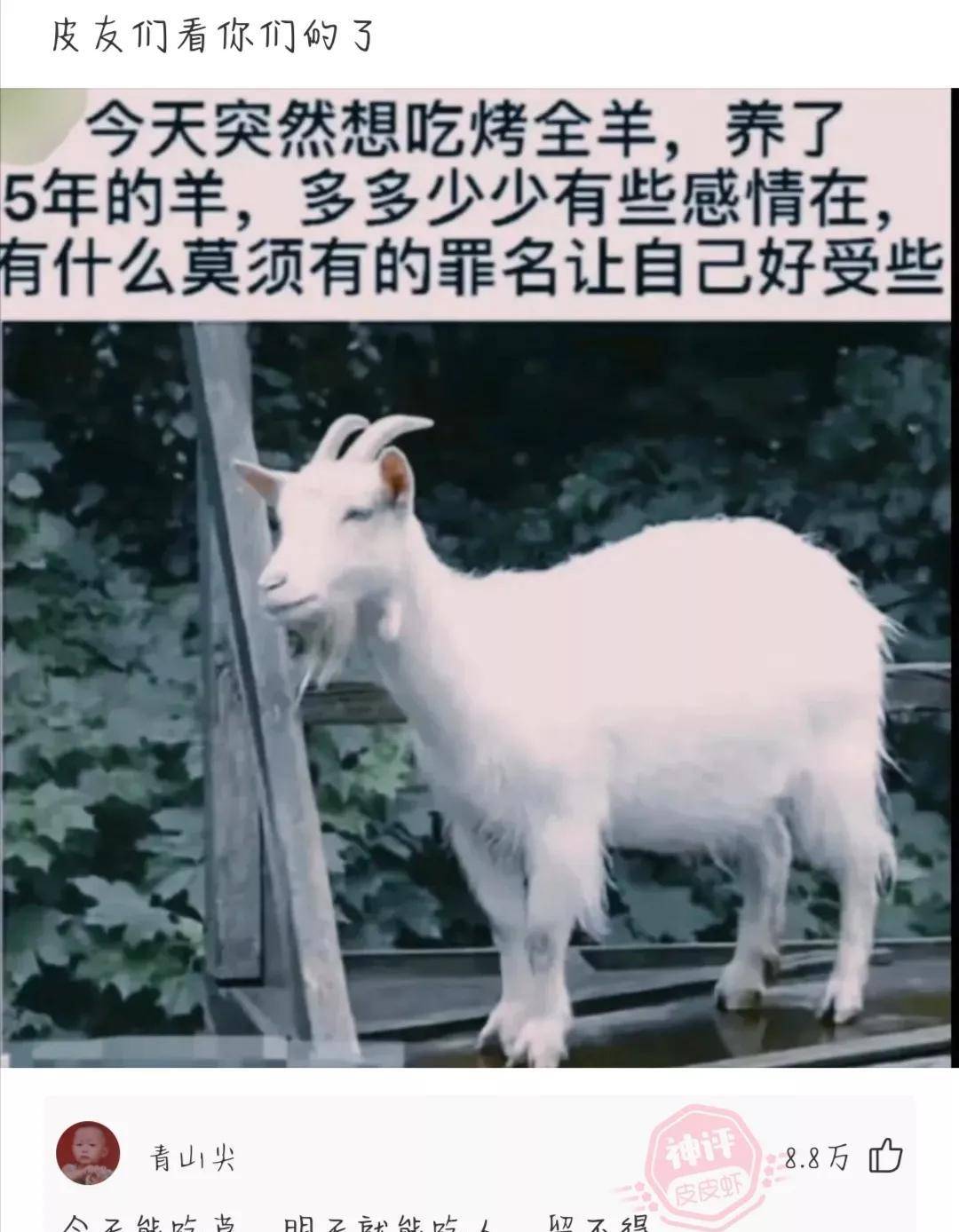 精选神回复：以前裤子有几个洞很一般，如今裤子有几个洞很一般