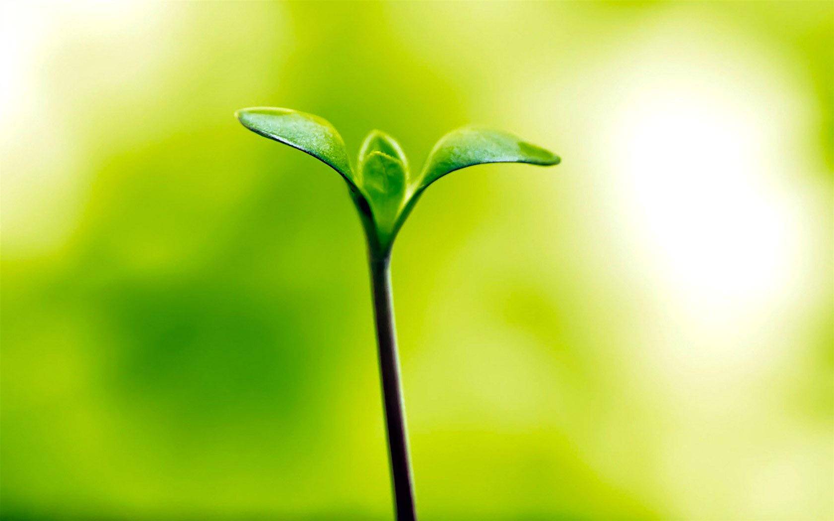 这是一位高中班主任的纠结,希望给家长们一点提醒_孩子_教育_教学楼