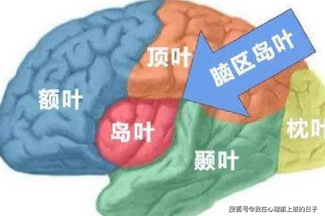 抑郁症与纹状体_区域_经常出现_能力