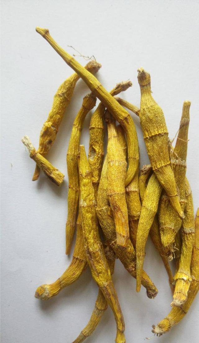 玫瑰花泡水喝的9大禁忌（女人长期喝玫瑰花茶有什么好处） 第4张