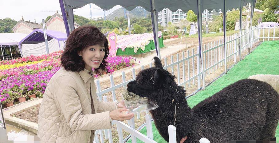 65岁米雪晒近况,发量浓密似假发,同行鲜肉男子身份引猜疑_尹志强_成龙