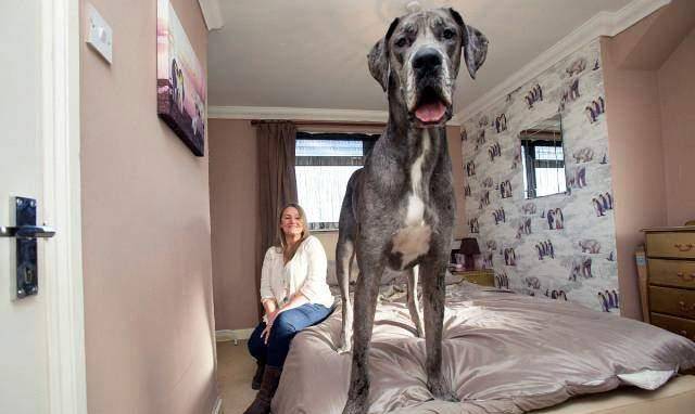 费雷迪 来自搜狐网