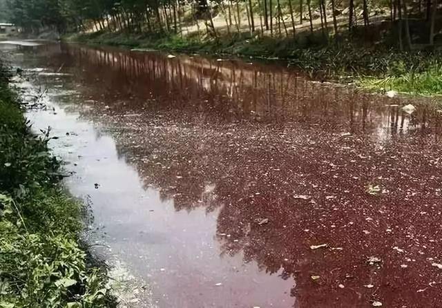 世界八大公害之四日市哮喘:废气排入天空,大气污染令人难以防备_水源