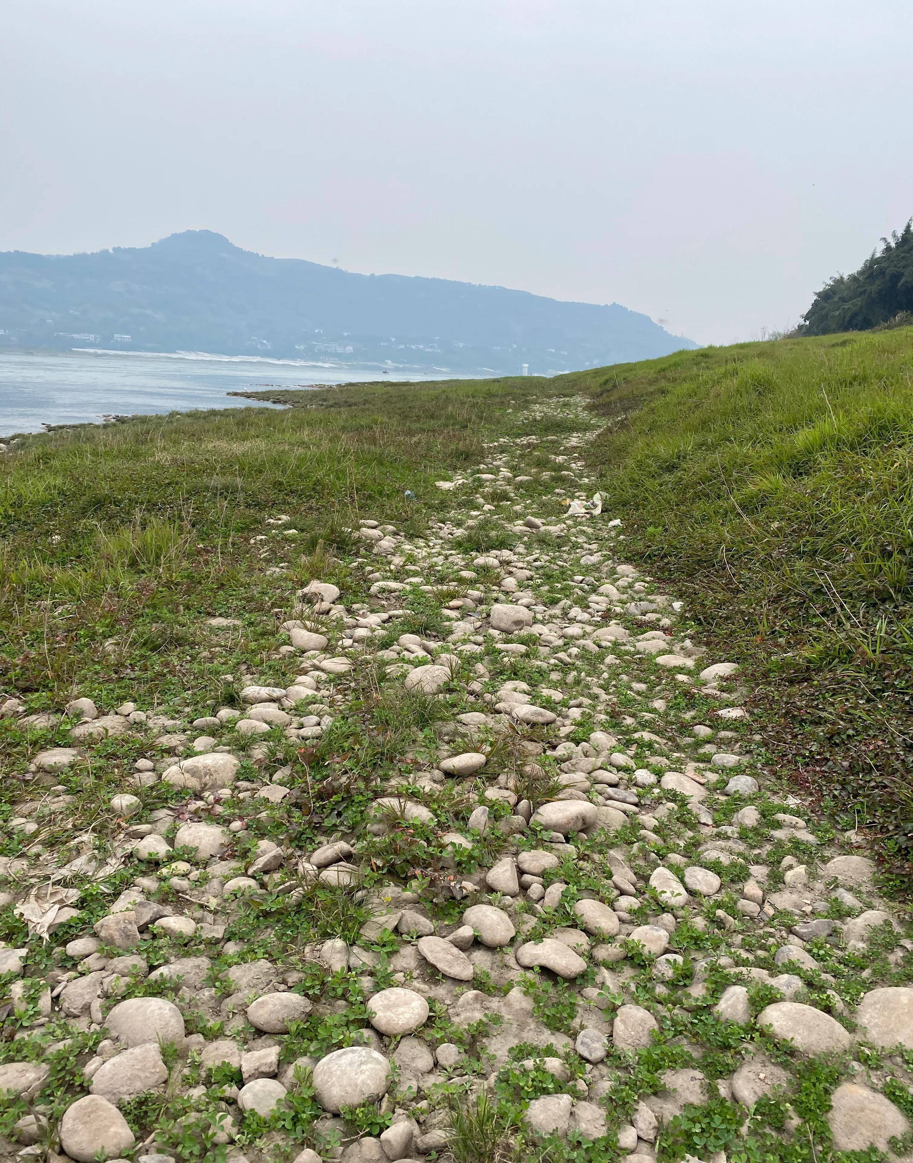 纳溪麒麟广场图片