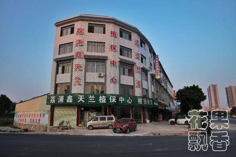的帅小伙,是如何实现一年开大奔,两年换路虎的农业梦_海滔_荔浦_砂糖