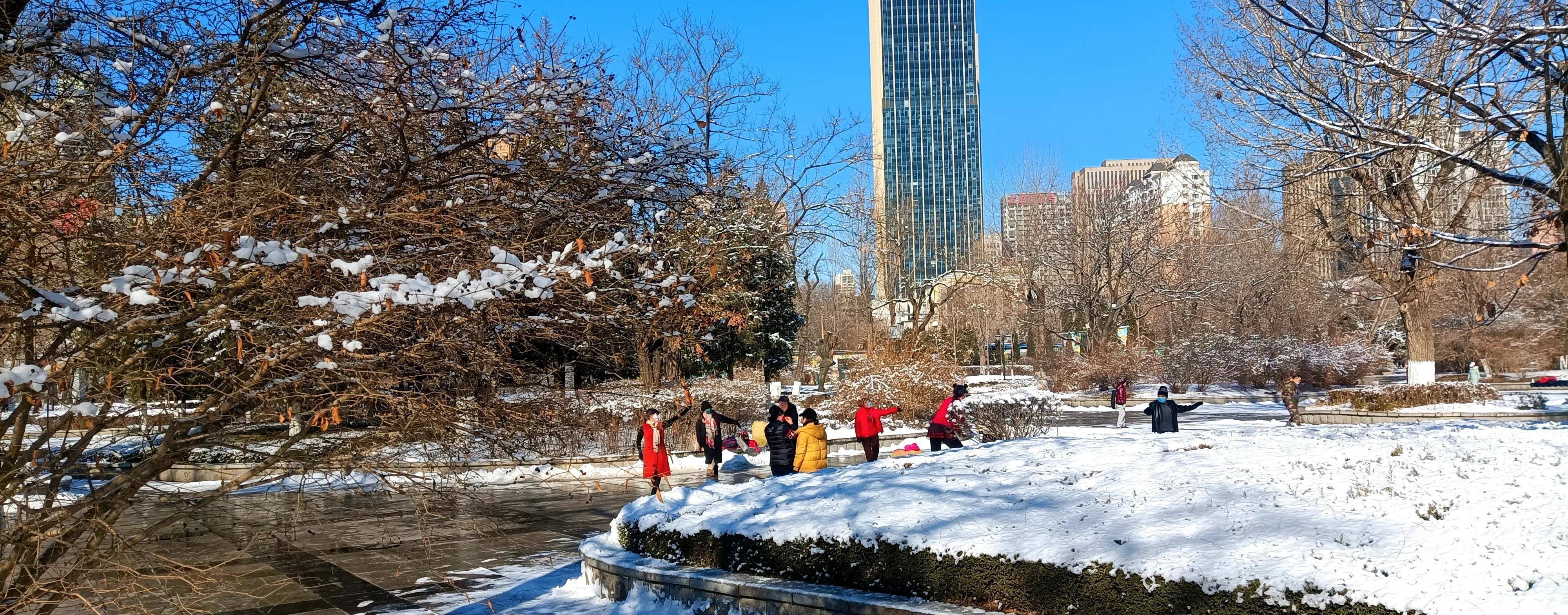 雪后的公园真美啊图片