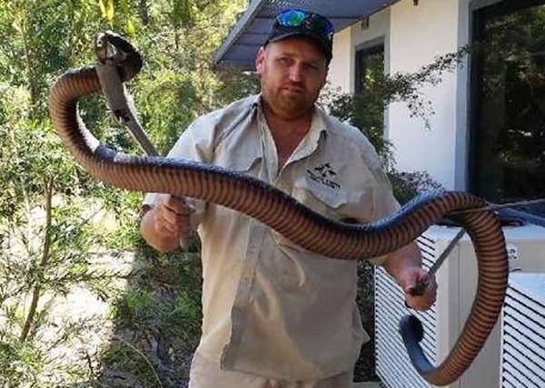 被蛇"追杀"5年的人,令人诧异的事件,他到底经历了什么?