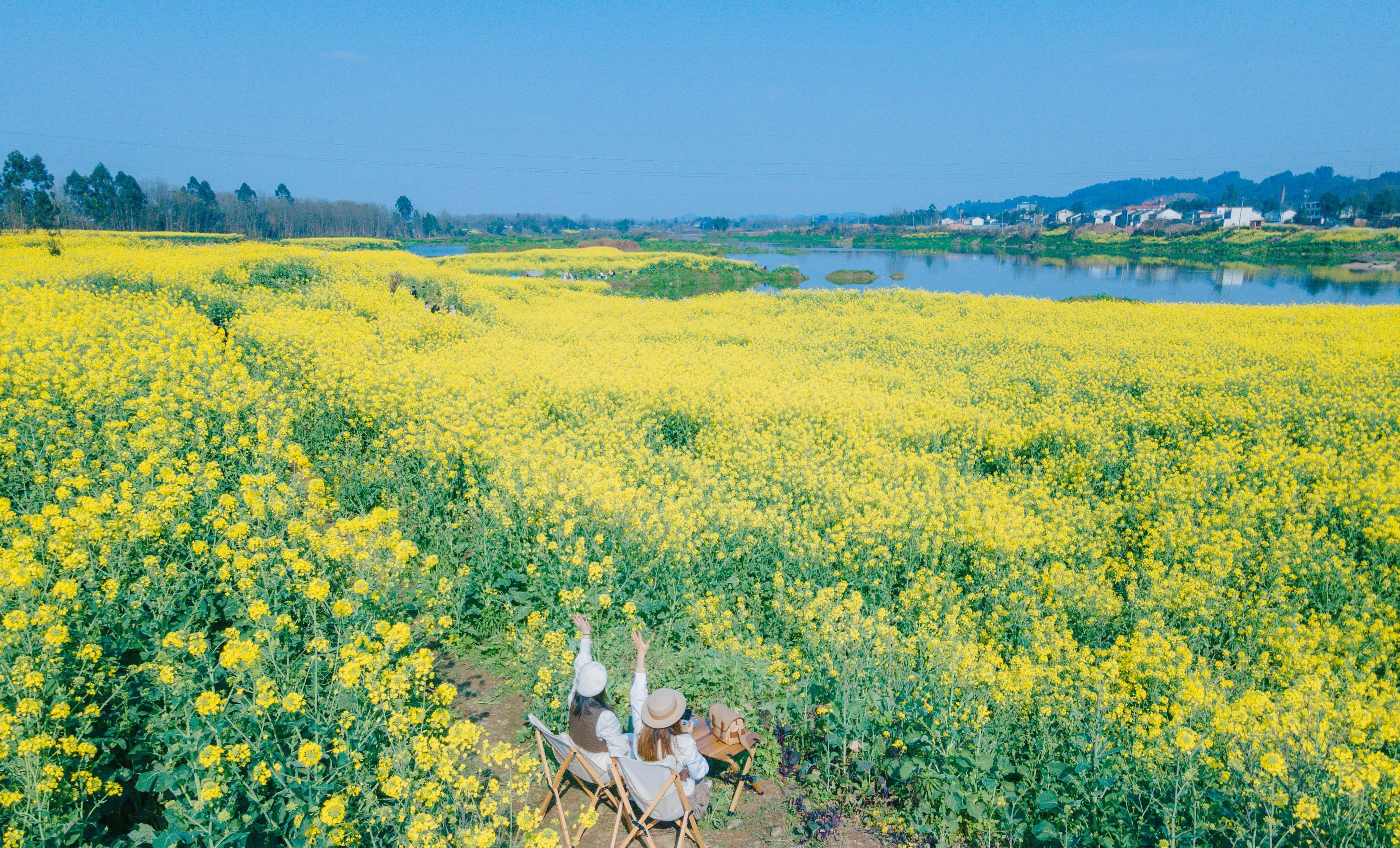 邛崃千亩油菜花图片