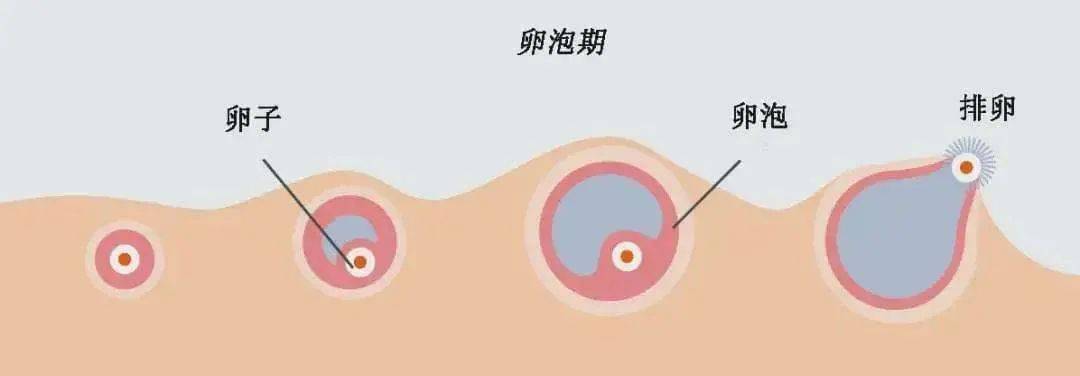 难以置信（恶搞怀孕快生了）怀孕要生了搞笑视频大全 第2张