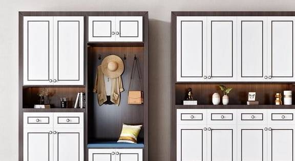 看似不起眼的鞋柜,这样设计一进门就会被惊艳了_鞋子_单体_造型