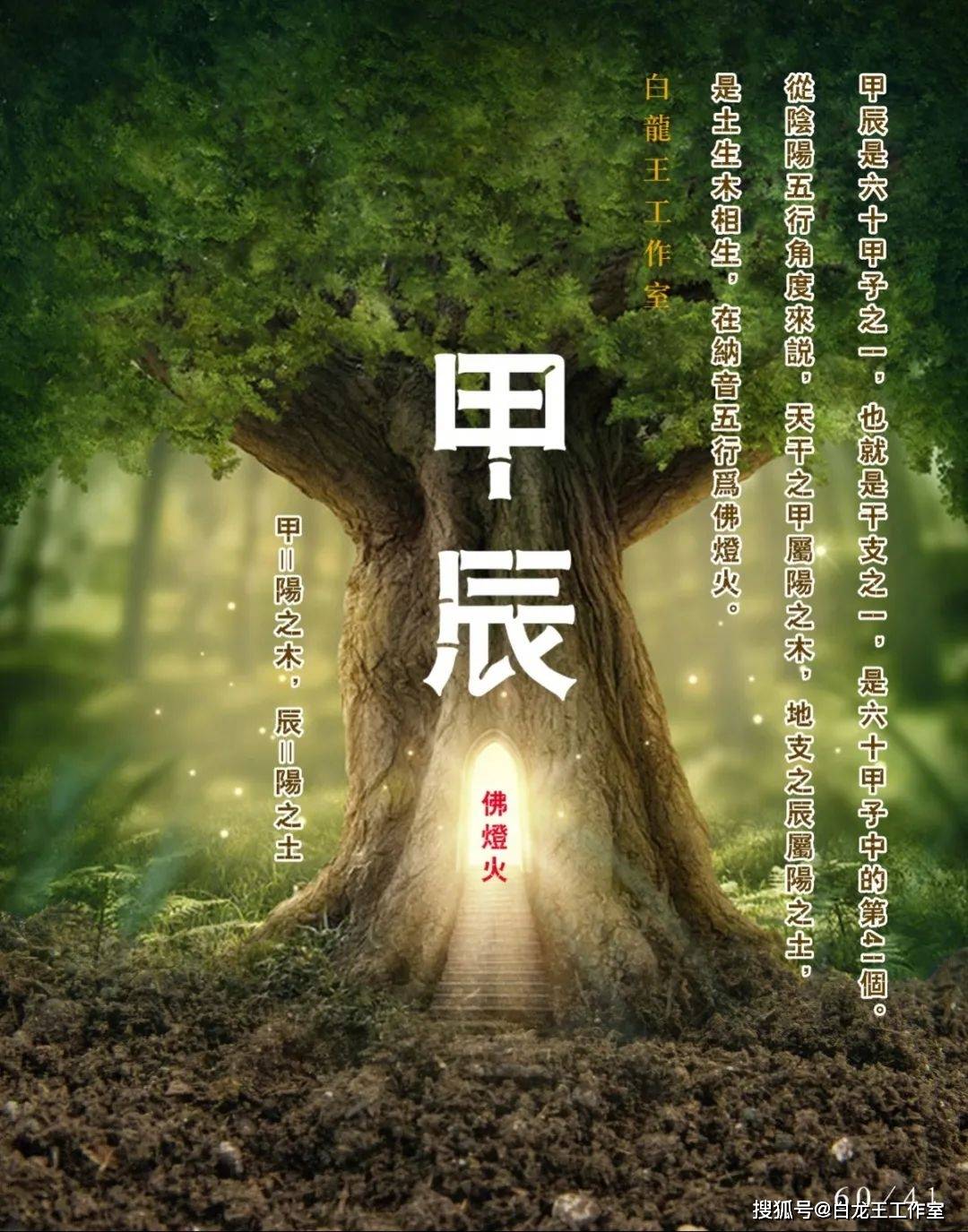 甲木日柱身强身弱,2023年癸卯运势_感情_流年_贵人