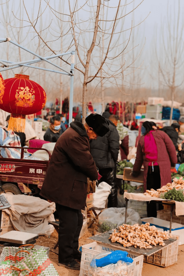图为去年1月所拍平邑地方大集逢集地址:平邑铜石大桥逢集时间:农历逢