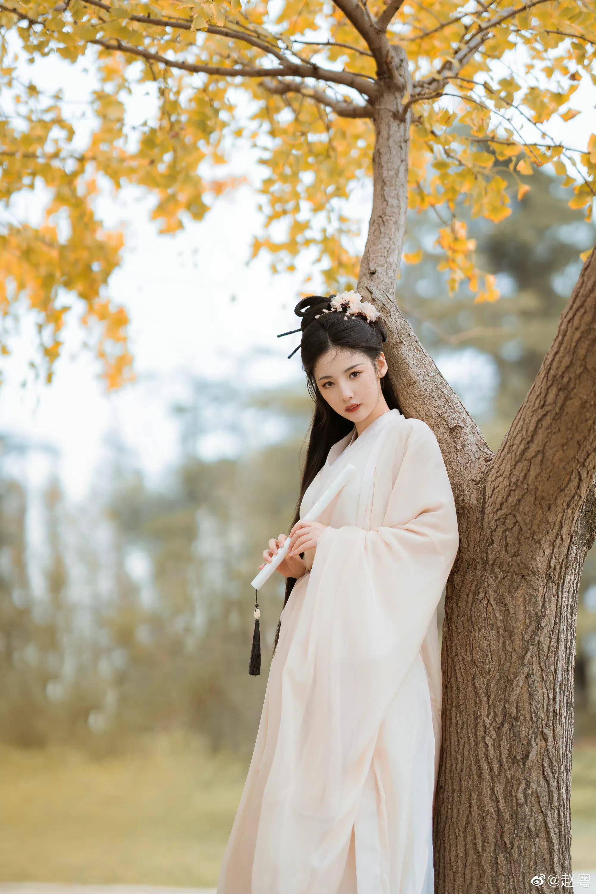 赵粤银杏树下古风写真,仙气飘飘,唯美浪漫,氛围感满满_少女_感觉_一手