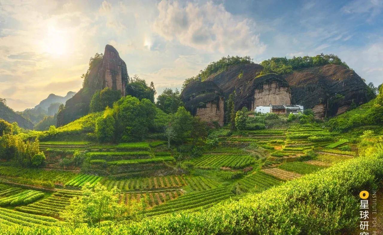 我们茶‖茶园,茶山,茶林,内附绝美图片(14张),推荐横屏观赏_茶叶_唐代