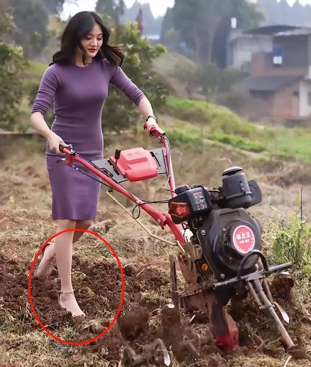 回顾 田媛风女网红行为引争议,穿旗袍干农活,网友:擦边无下限_视频
