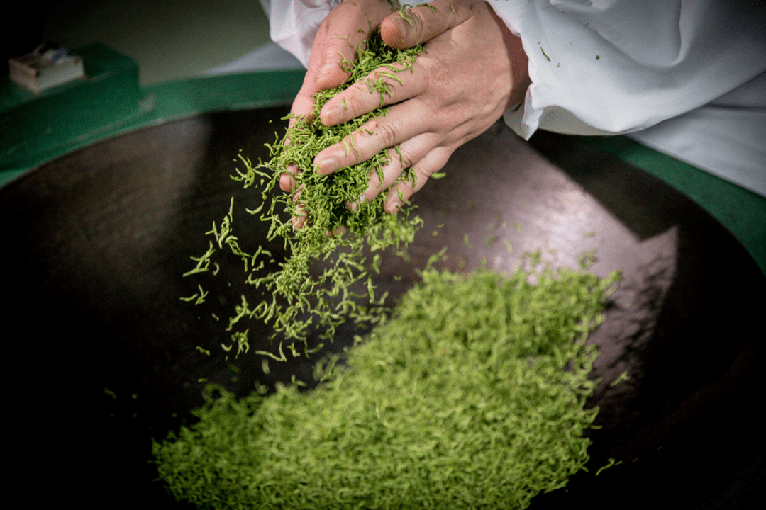 雨花茶制作技艺_茶叶_手法_条理