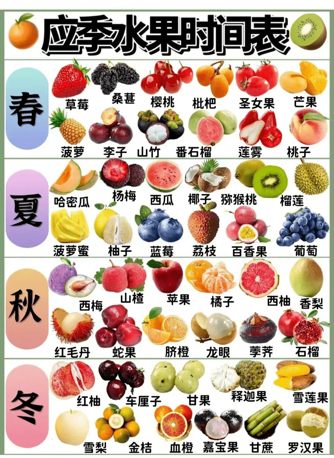 四季时令水果一览表图片