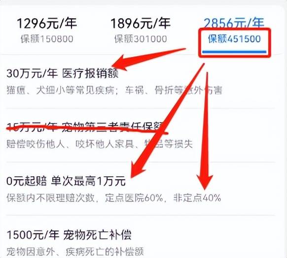 宠物保险有必要买吗？全网最全整理，教你如何避坑！(宠物保险怎么样)