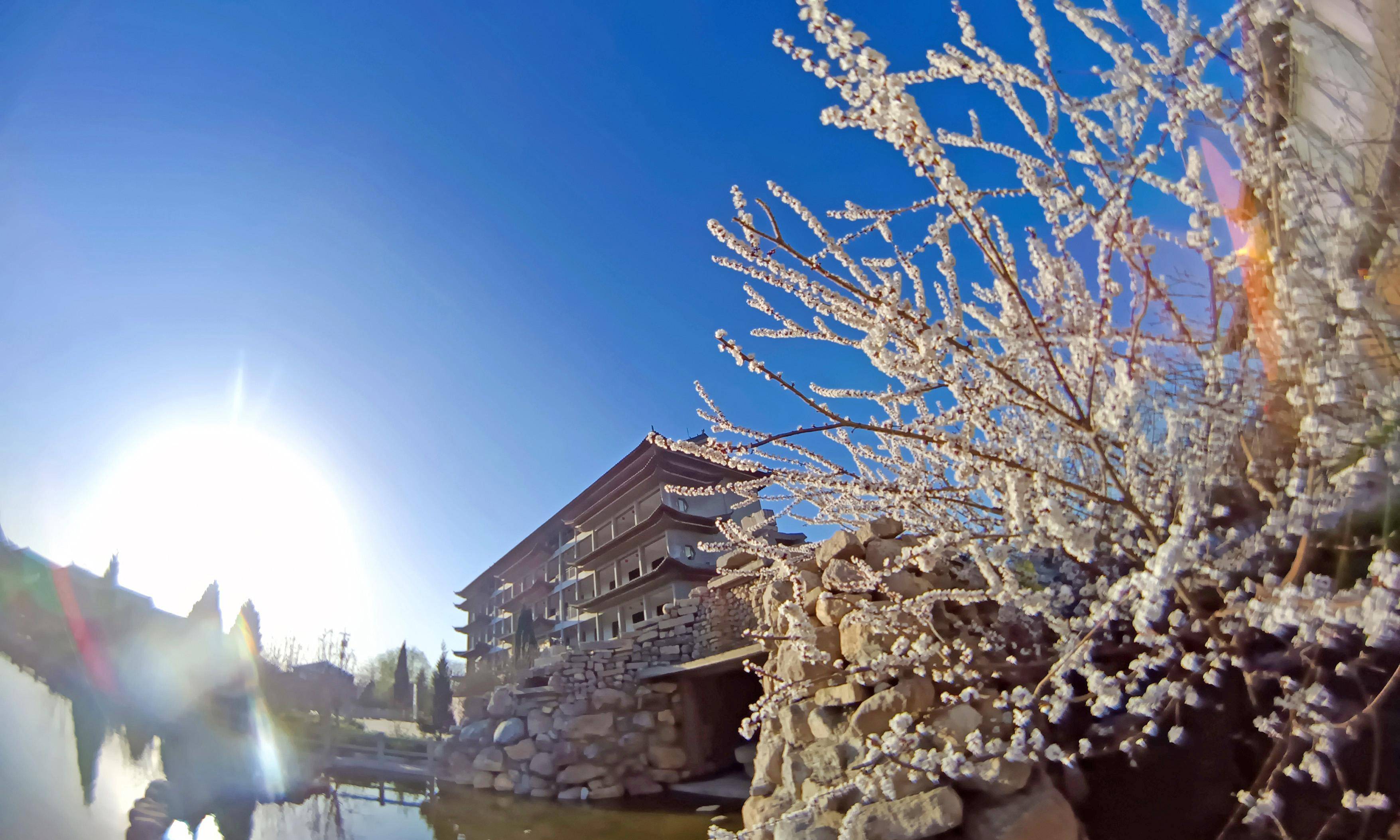 运城头条#山西绛州:春暖花开千年古州"花"中游_旅游_新绛县_全国