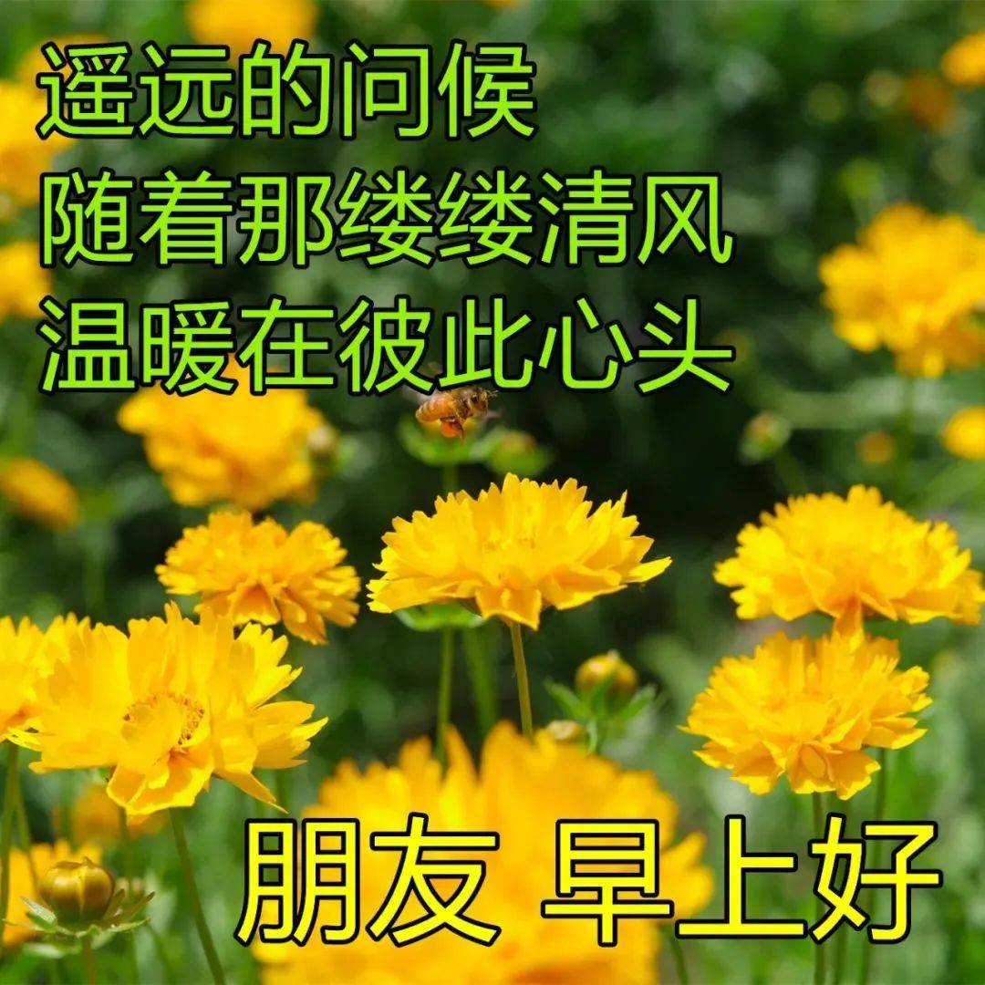 满满干货（给老师的祝福语8个字）给老师的祝福语8个字教师节快乐 第8张