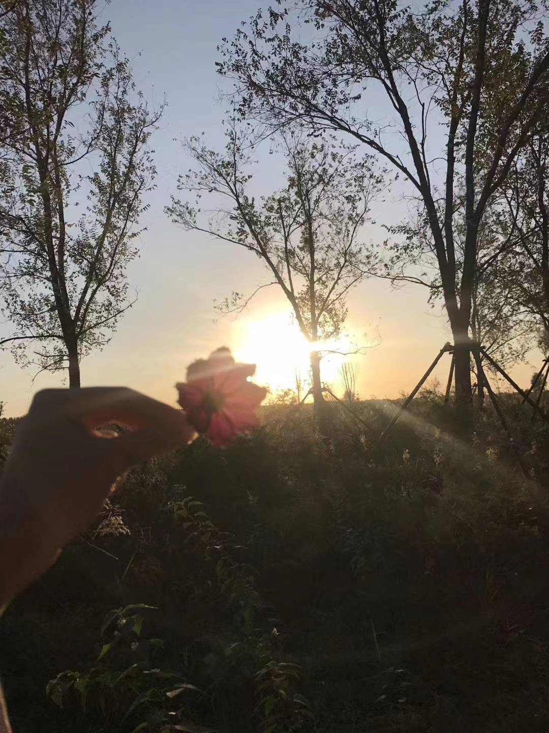 虎·兔·马三生生肖 财神保佑，吉星高照，运势最旺，大吉大利