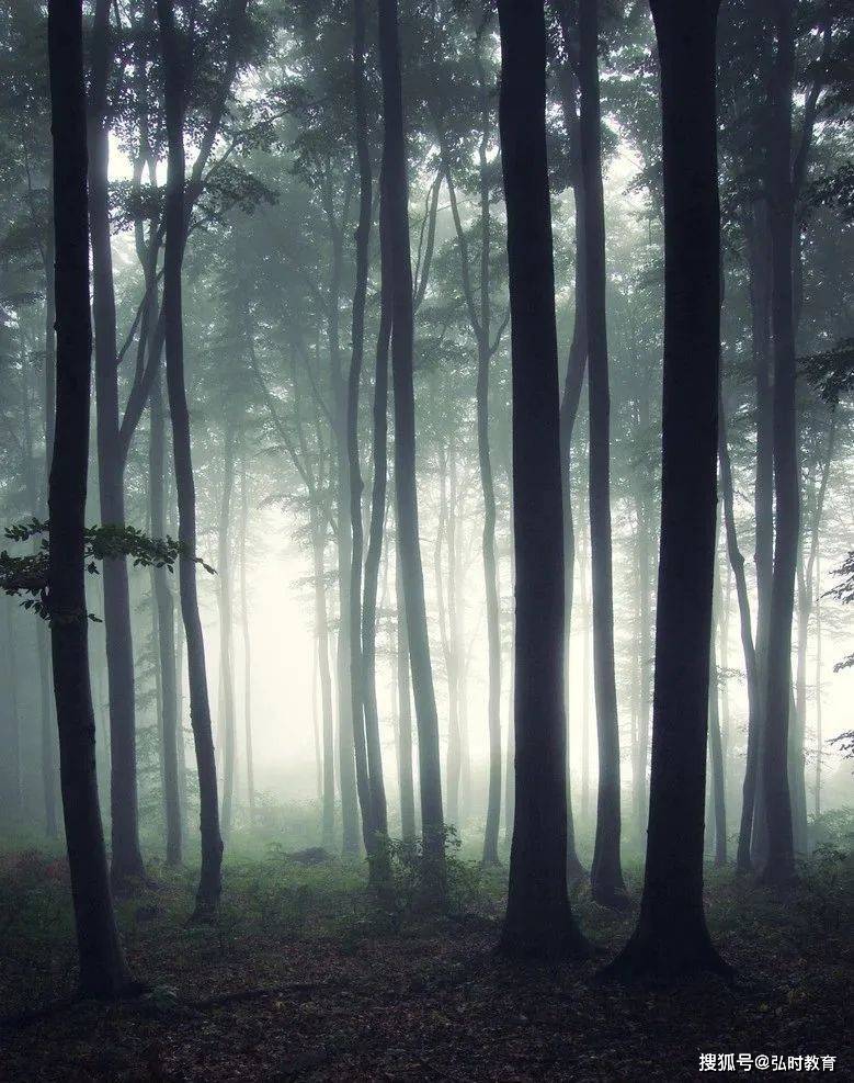 弘时硕博 | 她从小患上抑郁症,笔下的少女幽暗,却有16w粉丝围观_作品