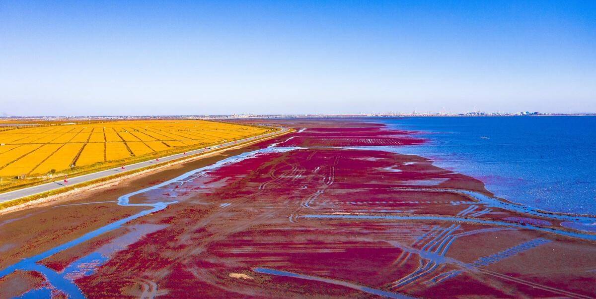 辽宁旅游线路之二-红色时尚之旅,天下奇观红海滩美景你见过吗_兴城