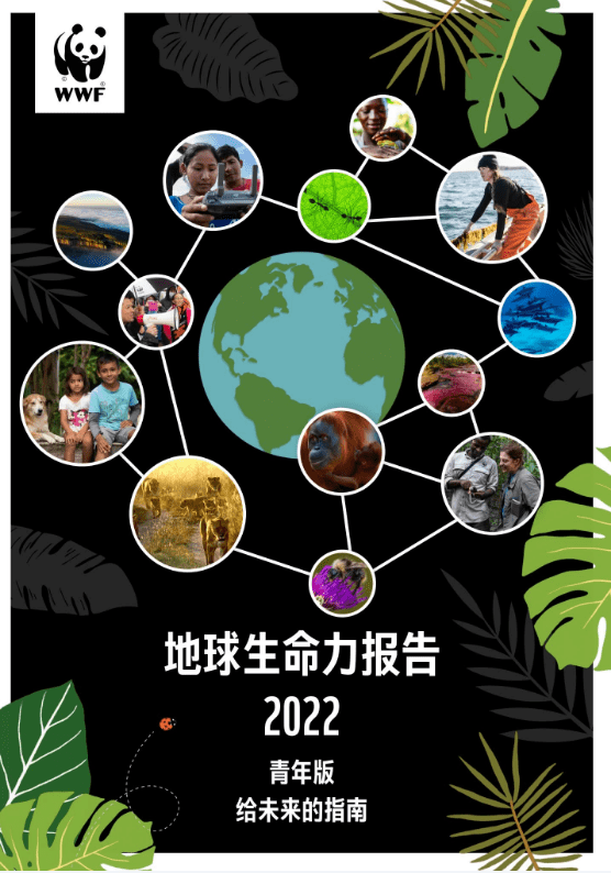 《地球生命力报告2022》青年版摘要(附ppt)_系统_条件_物种