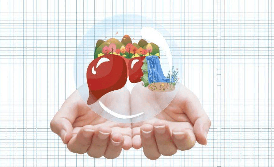 徽真堂:爱肝护肝你我同行_肝脏_全国_宣传