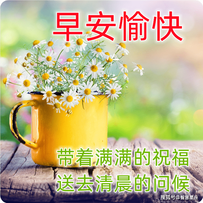 太疯狂了（祝福党的语句八个字）祝福党的经典语录 第3张