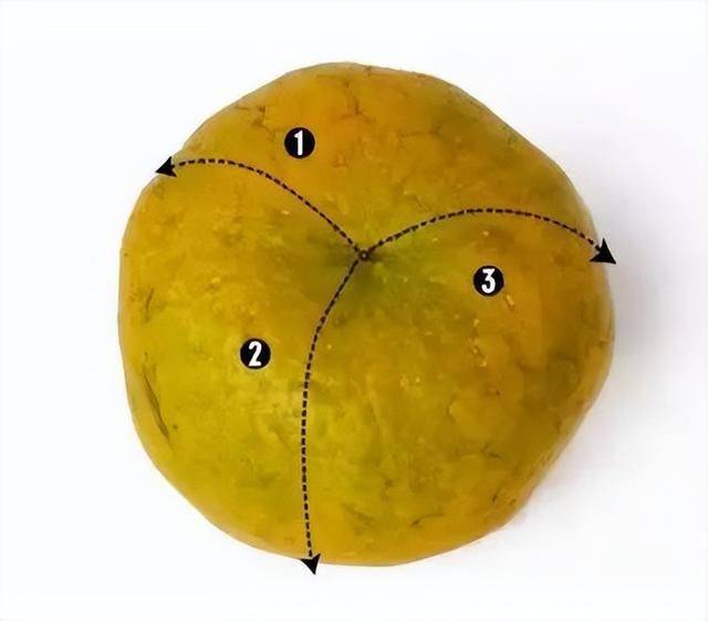 一文教会你识别好陈皮_橘皮_新会_表面