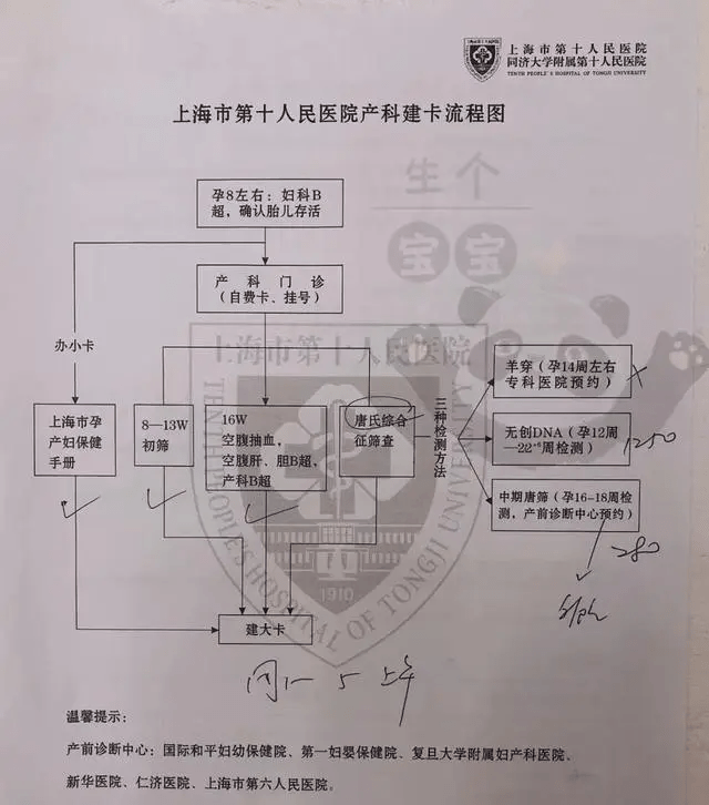 太疯狂了（假怀孕血检报告单）假怀孕血检查得出来吗 第4张